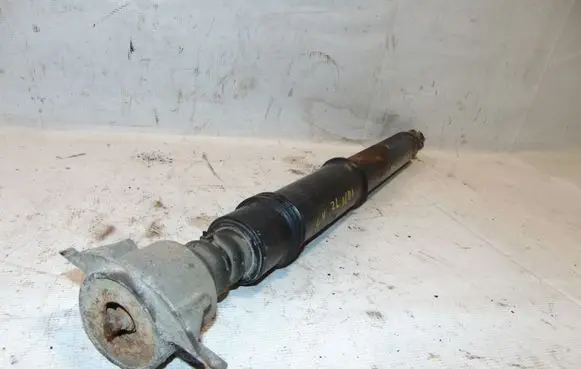 Citroen C4 I Rear shock absorber/damper 5206CS