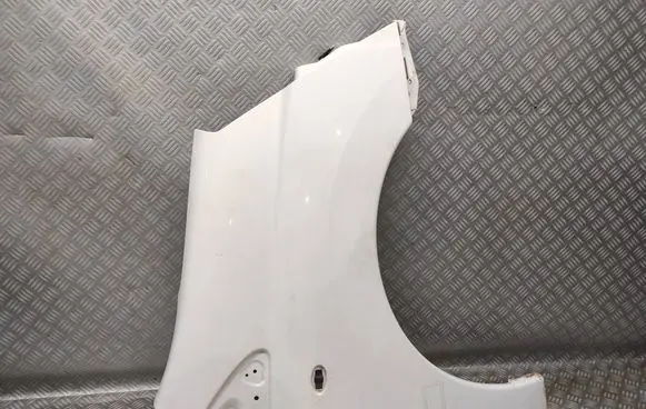 Fender