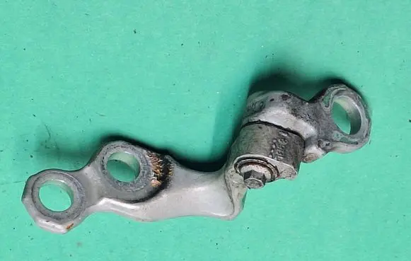 Rear door lower hinge