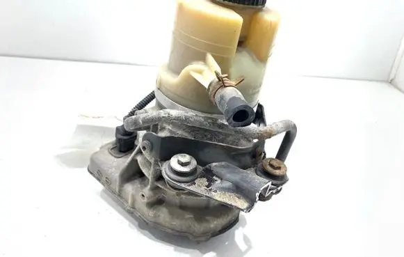 Renault Trafic III (X82) Power steering pump 491100616R