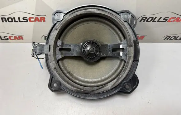 Rear door speaker