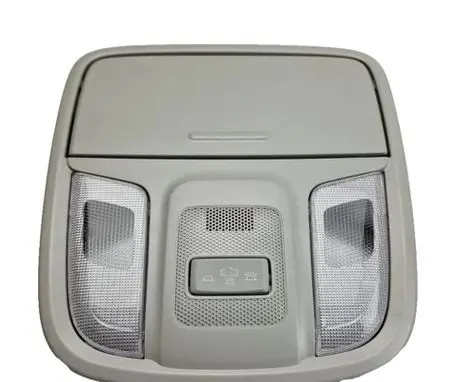 KIA Niro Headlining lighting console trim 92800G5000