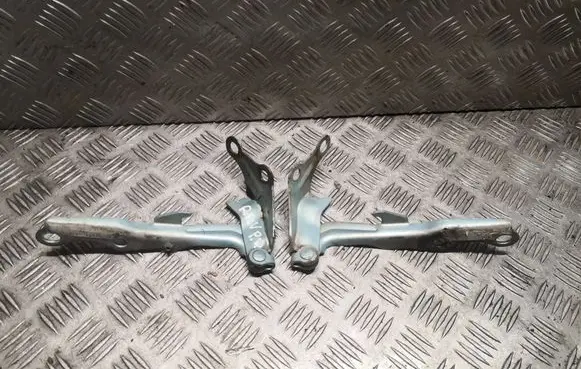 Toyota RAV 4 (XA10) Engine bonnet/hood hinges 5341042010