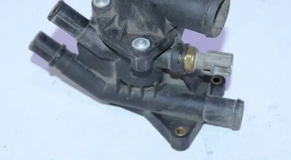 Thermostat/thermostat housing