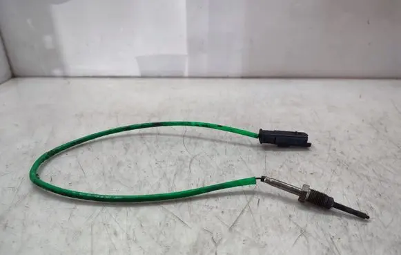 Exhaust gas temperature sensor