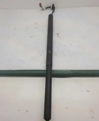 Ford Mustang Mach-E Tailgate strut LJ8B-R402A55-AC
