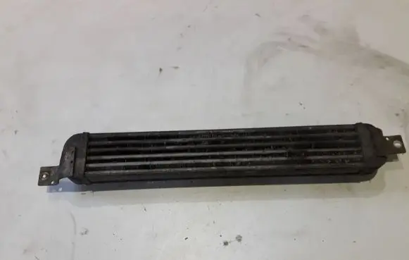 Opel Meriva A Coolant radiator