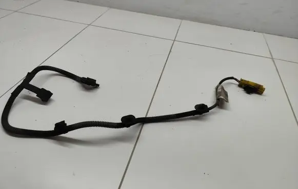 Other wiring loom