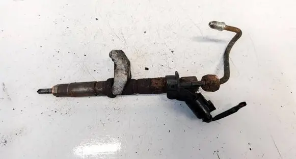 Volkswagen Crafter Fuel injector 076130277