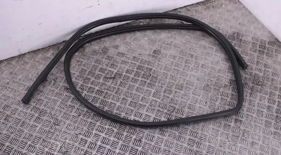 Dodge RAM 1500 DS Front door rubber seal 