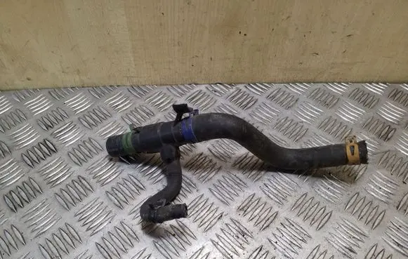 Renault Scenic I Engine coolant pipe/hose