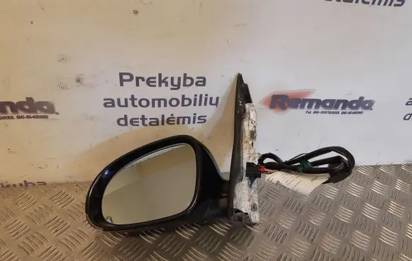 Volkswagen Golf Plus Front door electric wing mirror 076013