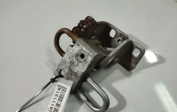 Volkswagen Golf V Rear door lower hinge 