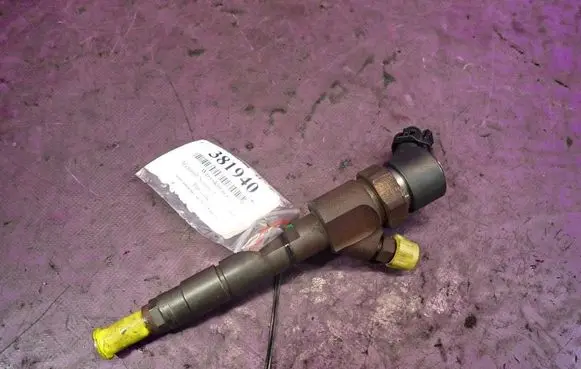 Renault Scenic I Fuel injector 