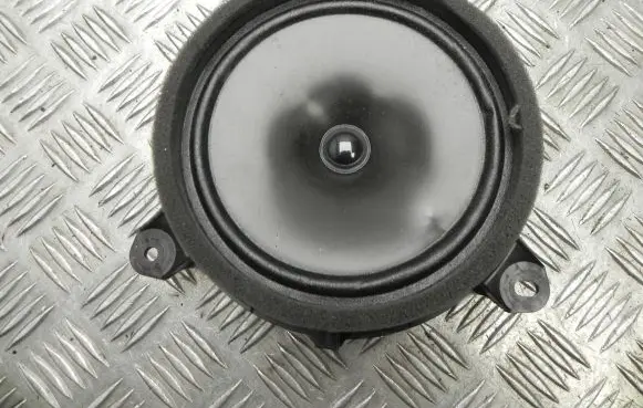 Front door high frequency speaker