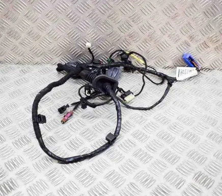 Maserati Levante Front door wiring loom 06701013620 670101362