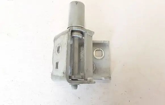 Renault Zoe Front door lower hinge 864615A