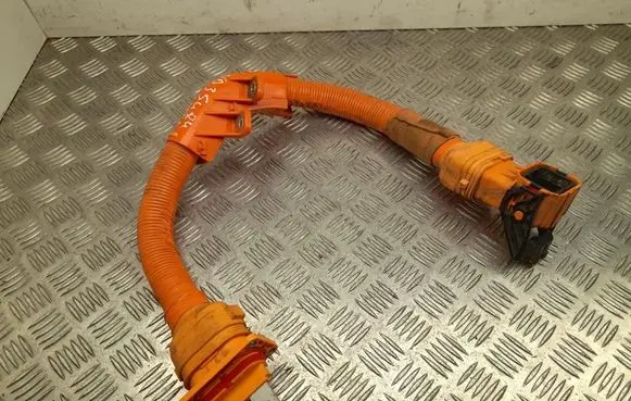 KIA EV6 Other wiring loom 91981GI100