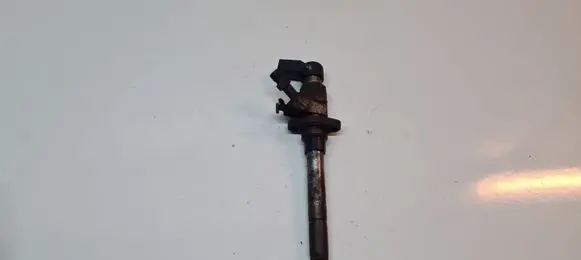 Fuel injector