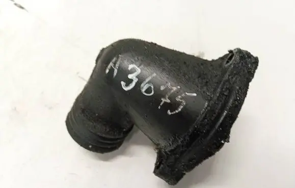 BMW 5 E39 Engine coolant pipe/hose 