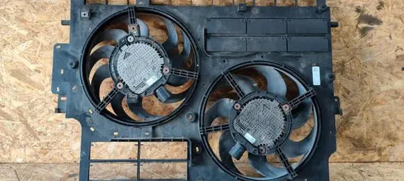 Renault Trafic III (X82) Fan set 214817257R 0066079 5001633