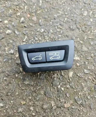 BMW 5 GT F07 Tailgate opening switch 9194912 549583022