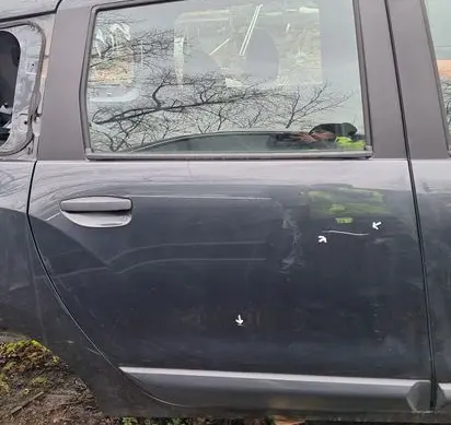 Dacia Lodgy Rear door