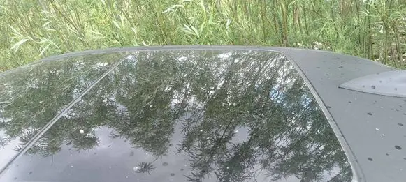 Cadillac CT6 Sunroof set 