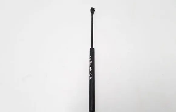 Tailgate strut