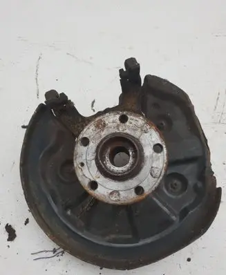 Volkswagen Tiguan Rear wheel hub spindle/knuckle 