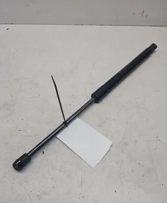 Tailgate/trunk strut/damper