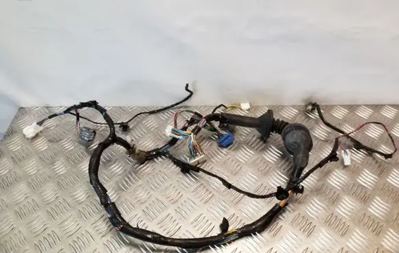 Front door wiring loom