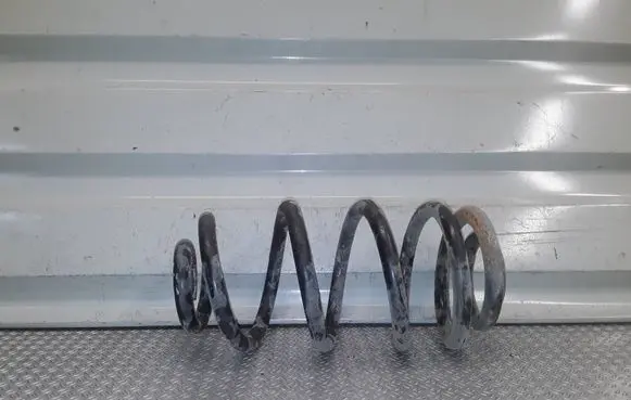 Opel Insignia A Rear coil spring 