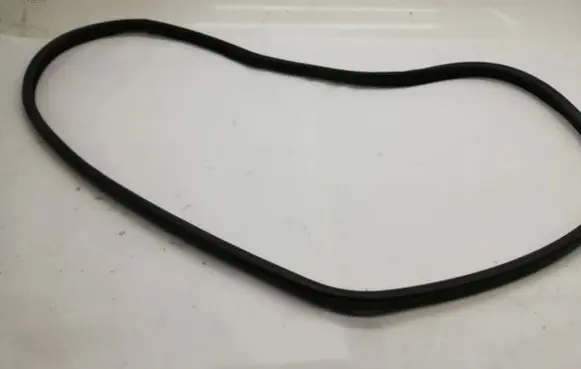 BMW X6 F16 Rubber seal rear door 7317822