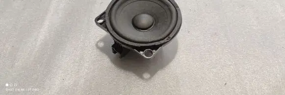 Front door speaker