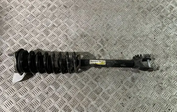 Front shock absorber with coil spring