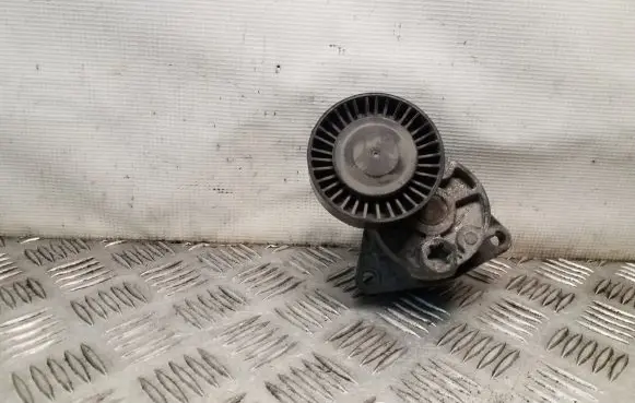 Hyundai Terracan Generator/alternator belt tensioner