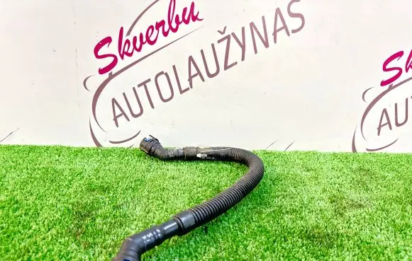 Ford Kuga III Vacuum line/pipe/hose LX6E6758AA