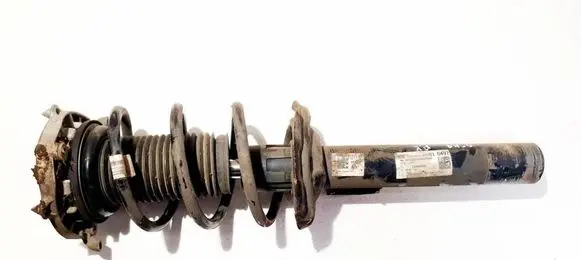 Volkswagen ID.4 Front shock absorber/damper 1ea412021bp