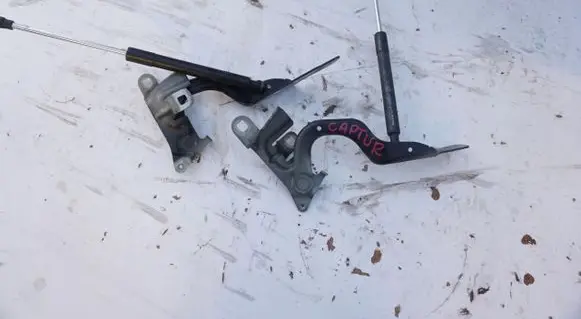 Engine bonnet/hood hinges