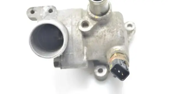 Thermostat/thermostat housing