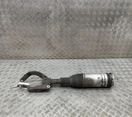 Land Rover Range Rover Sport L494 Air suspension front shock absorber DPLA3C286BG