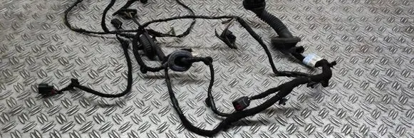 Ford Mustang VI Front door wiring loom FB3T14631G281T