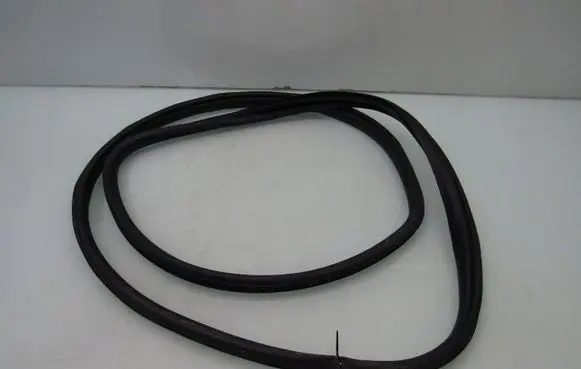 Honda Civic X Rubber seal rear door 