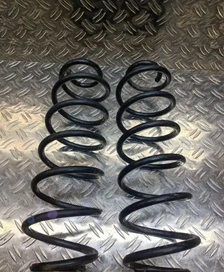 Rear coil spring