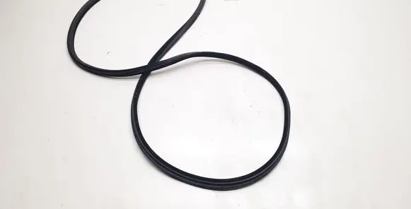 BMW 3 E92 E93 Front door rubber seal 7119091