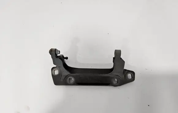 Tailgate/trunk/boot hinge