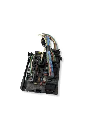 Citroen C4 I Picasso Fuse module 9664705880