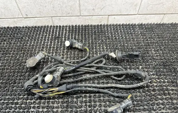 Mercedes-Benz CLS C219 Parking sensor (PDC) wiring loom A2195406007