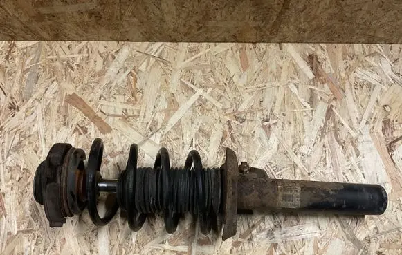Volkswagen PASSAT B6 Front shock absorber/damper 3C0413031N 824904001178 2M461FV169